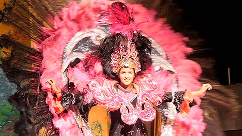 Rio, le Samba Show