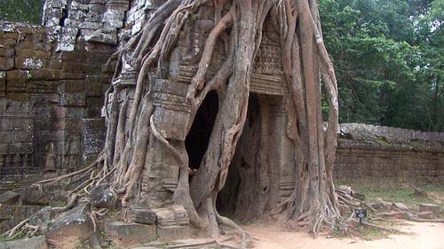 Temple de Ta-Prohm