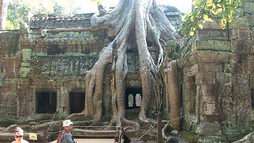 Temple de Ta-Prohm