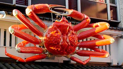 Osaka Dotonbori KaniDorakuCrab