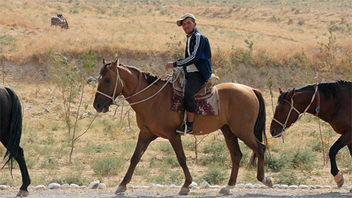 Samarcande, Bouzhachi