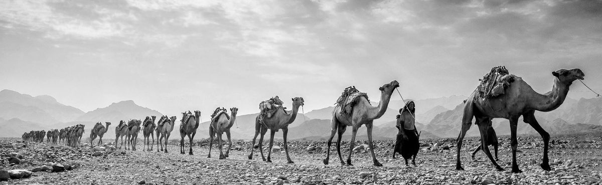 Caravane dans le désert