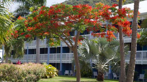 Anse Marcel, Hotel Radisson