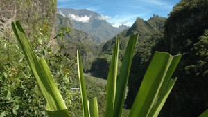 Réunion, cirque de Salazie