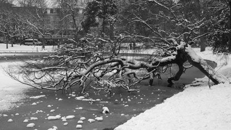 Bois de Vincennes, le lac de St Mandé sous la neige